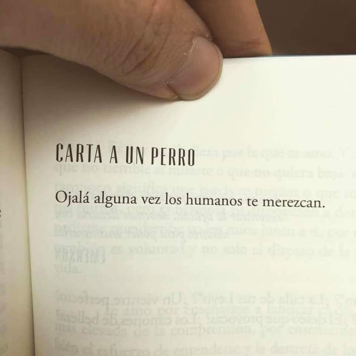Enrique ArDUInoII*II tweet media