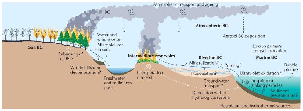 Nature Reviews Earth & Environment 🌈 tweet media