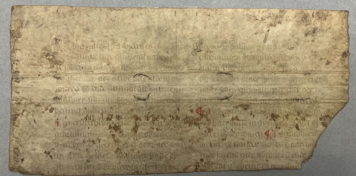 Just before the weekend we happen upon an unknown fragment of Middle Dutch antidotary (14th c.). "Take eggs, bat's blood, frog's blood, and Arabic gum." What's not to like? <a href="/ehcantwerp/">Hendrik Conscience Heritage Library</a> Fragm. 137. #fragmentology