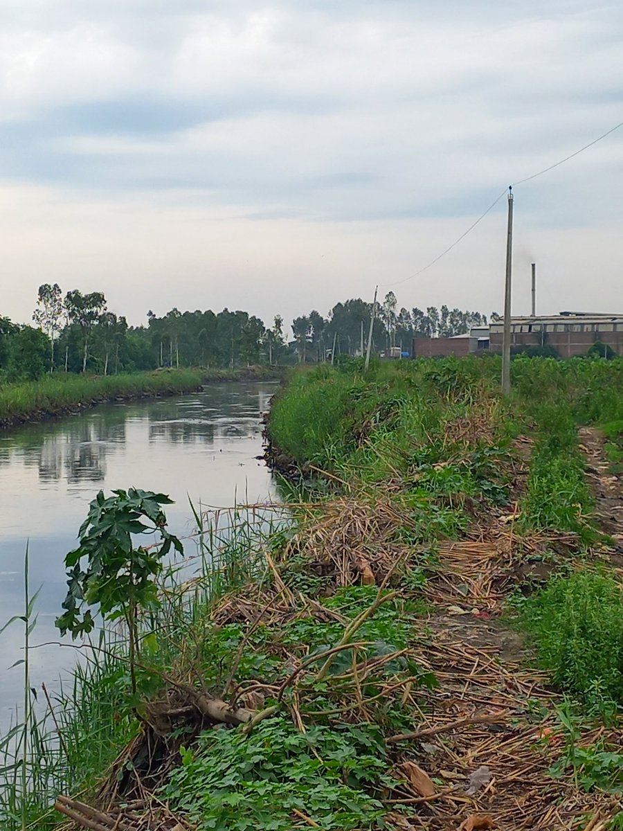 Lakhanpal1Cm's tweet photo. #PollutingIndustries releasing #PollutedWater into #BuddhaDariya near Villages Gaunspur and Hambaran in Dakha Constituency outside #MunicipalLimit. Scattered Polluted Waste lying all over. Sufferings of the Villegers are the worst. No Stern Actions taken till so far by #PPCB ??? https://t.co/FbyHLI9l8D