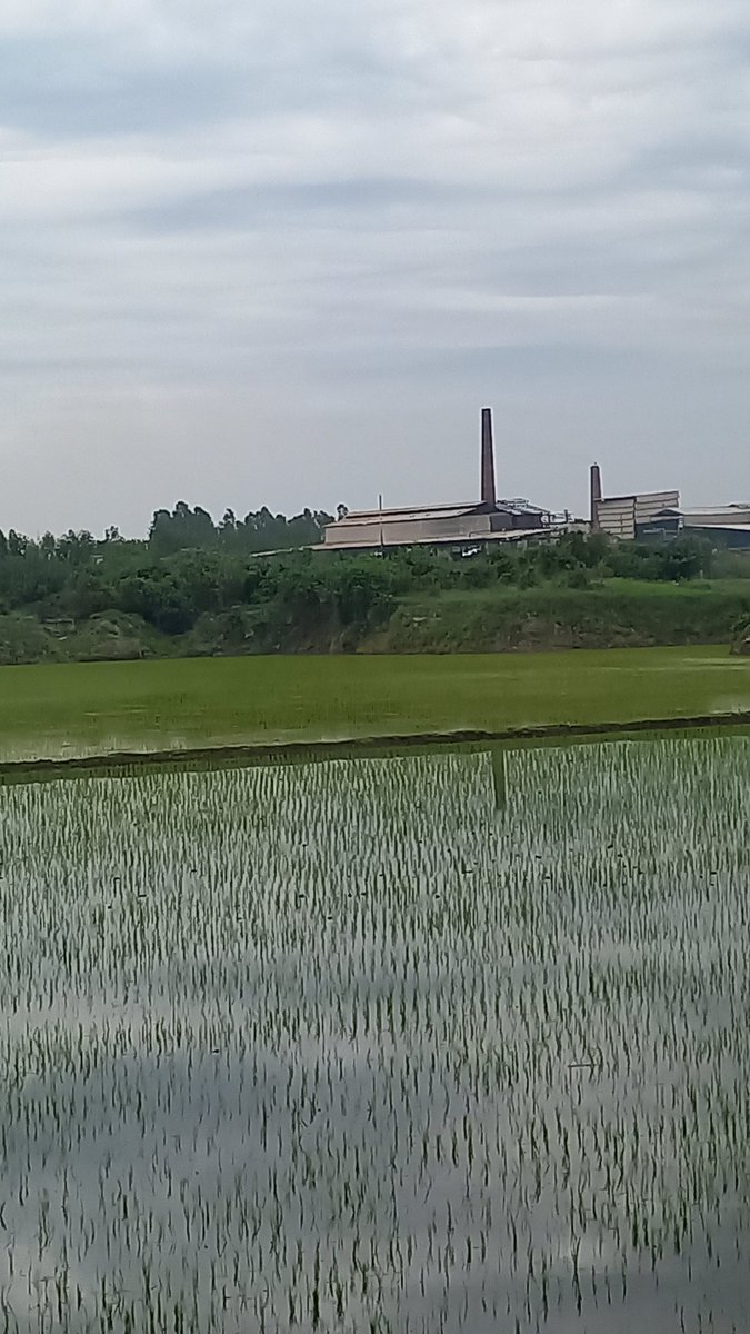 Lakhanpal1Cm's tweet photo. #PollutingIndustries releasing #PollutedWater into #BuddhaDariya near Villages Gaunspur and Hambaran in Dakha Constituency outside #MunicipalLimit. Scattered Polluted Waste lying all over. Sufferings of the Villegers are the worst. No Stern Actions taken till so far by #PPCB ??? https://t.co/FbyHLI9l8D