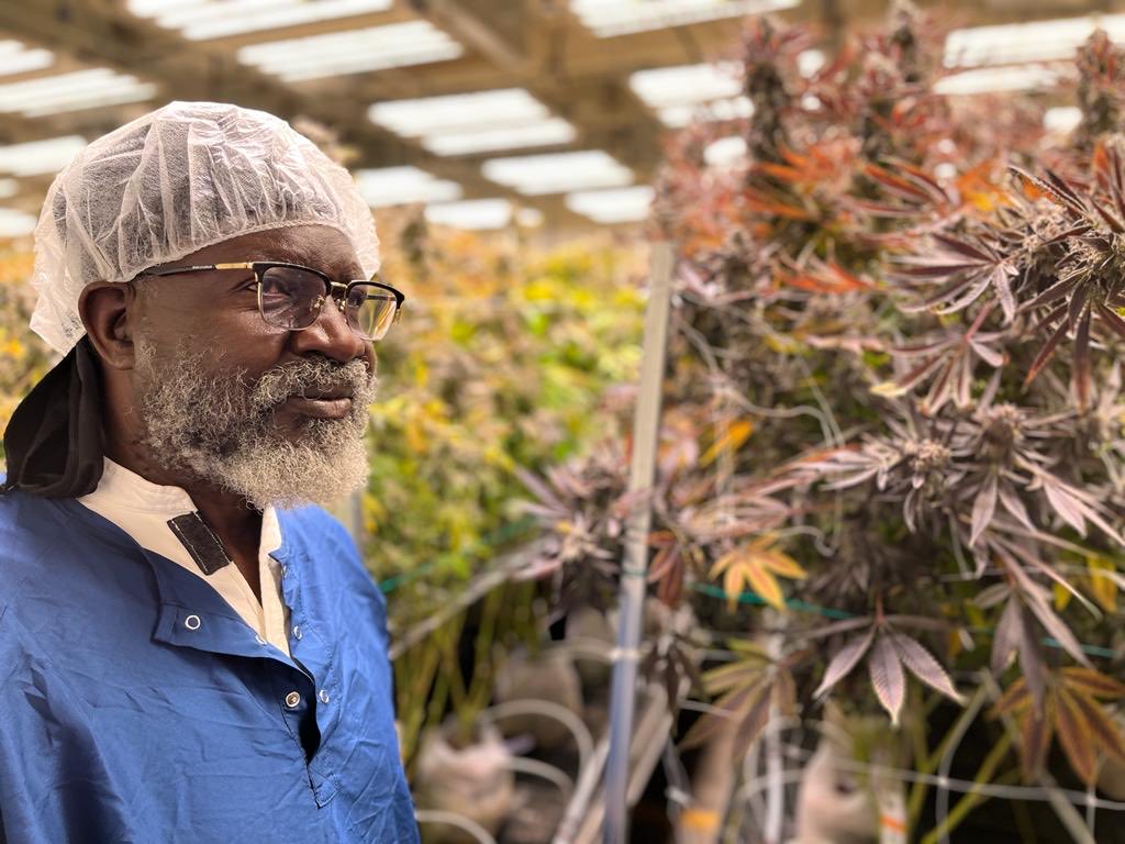 glwajackoyah's tweet photo. US Canabis Corporation invite Wajackoyah to the US and ready to invest multibillion dollars in Kenya. Spent the entire yesterday touring various plants in the US https://t.co/SXOg0yDXpt