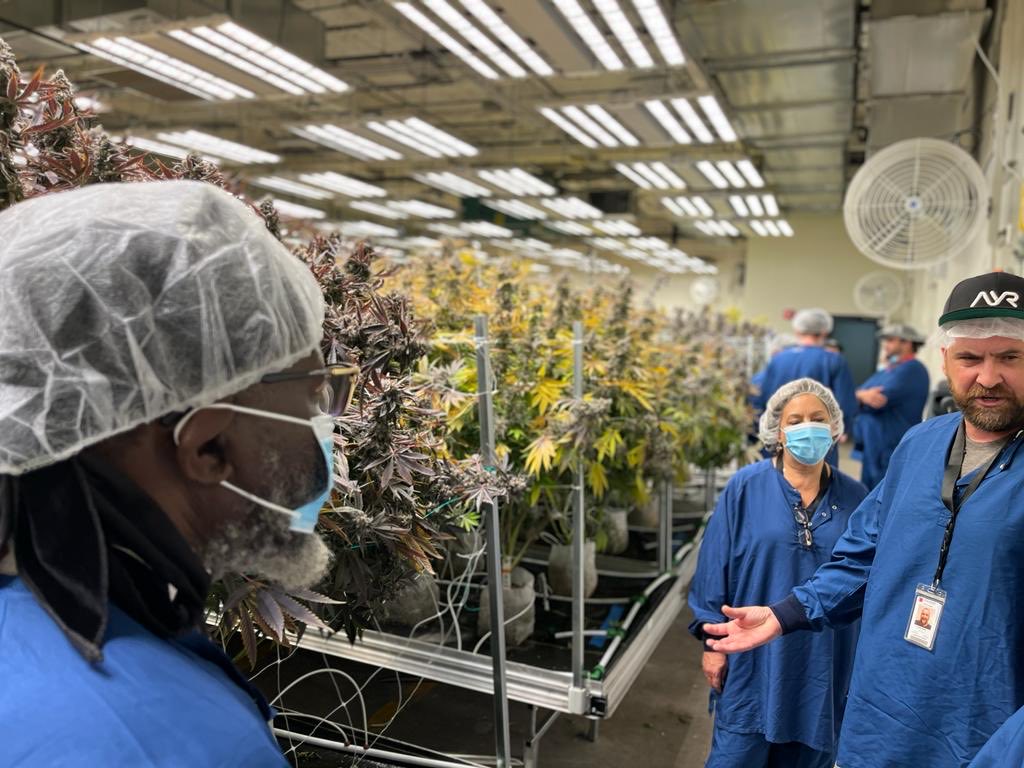 glwajackoyah's tweet photo. US Canabis Corporation invite Wajackoyah to the US and ready to invest multibillion dollars in Kenya. Spent the entire yesterday touring various plants in the US https://t.co/SXOg0yDXpt
