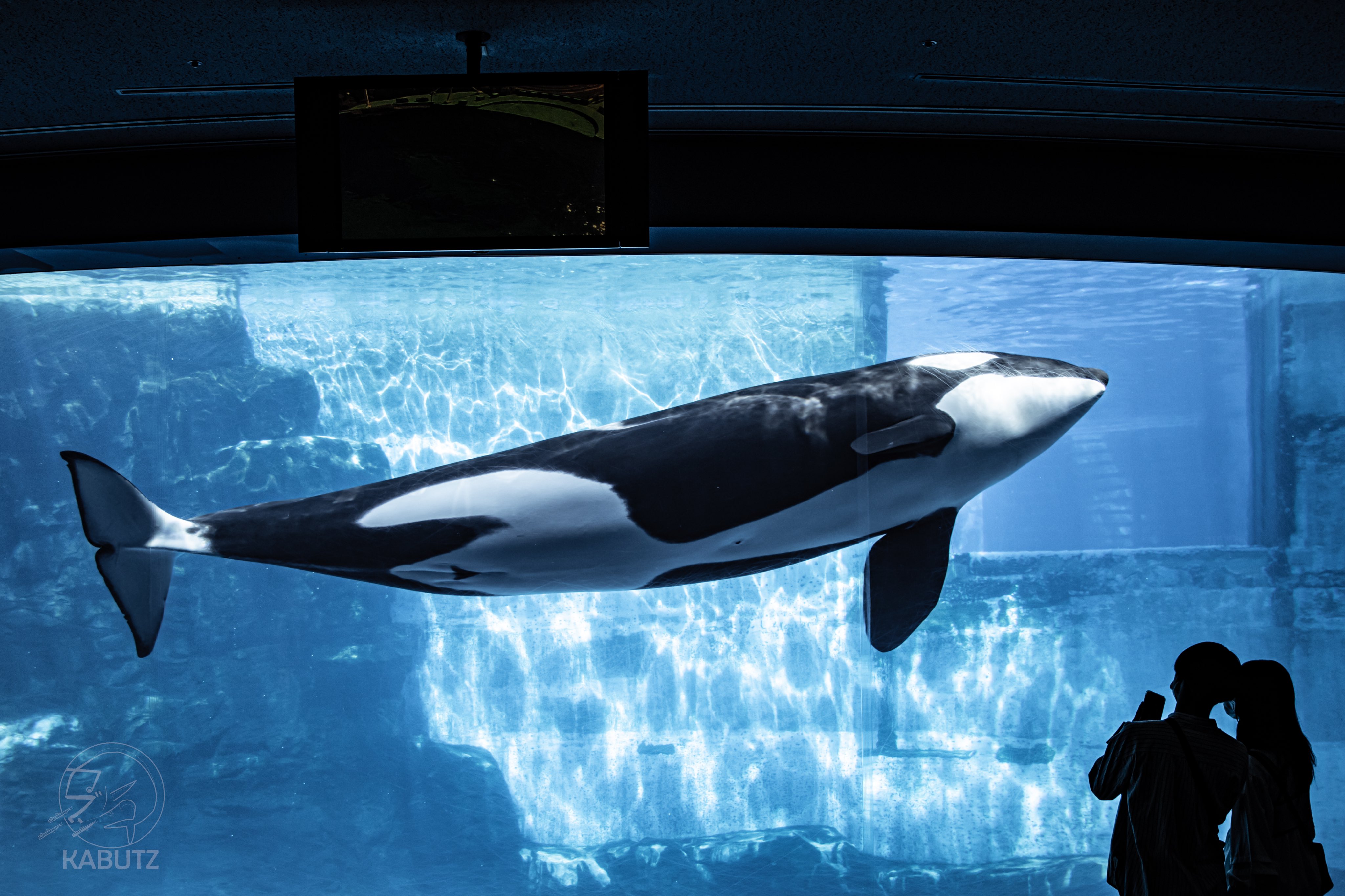 かぶつ もっと近くにきてほしい ふたつの意味で T Co P56gftjzyu Twitter