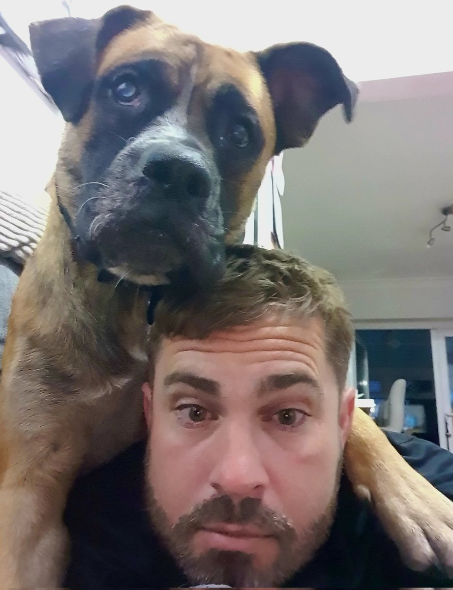 InspKewley's tweet photo. I've still no idea why they call dogs "man's best friend" 🤣 #bestmates #selfie #DogsofTwittter https://t.co/vJn3PD3u1A