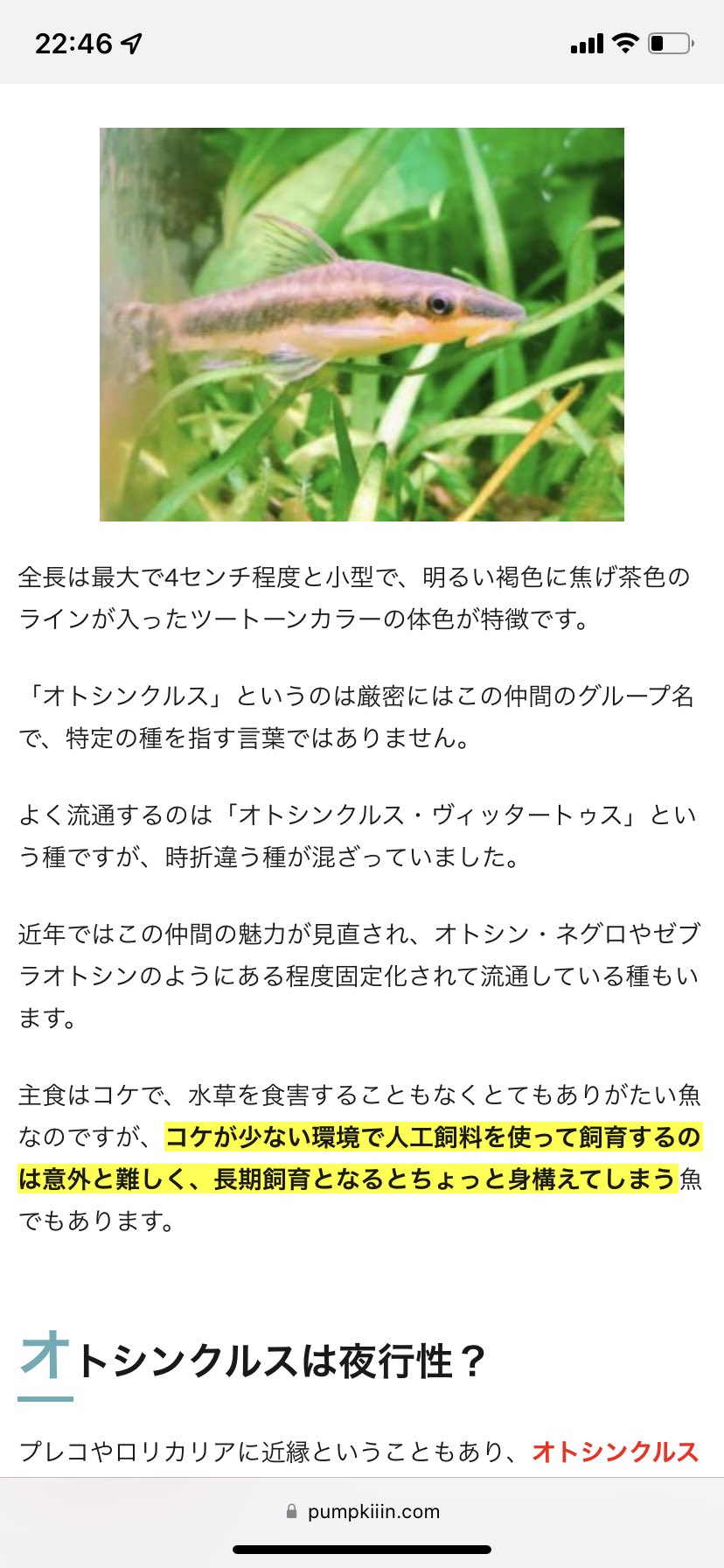 A K Iko 𓆜 導入したオトシンさん達が全然動かないから心配で調べてみたらこちらのページに着いたんだけど この オトシンクルス ヴィッタートゥス がどうしても オトシンクルス ヴィッタートゥス オードリー春日 の