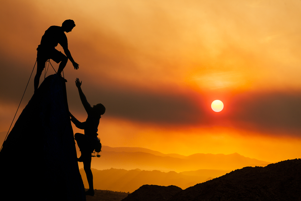 Gauher Chaudhry tweet media