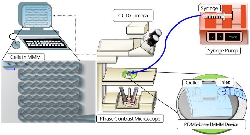 PotomacPhotonic's tweet photo. Great #microfludics work from @Creighton  Univ in Omaha to study red blood cells in #SickleCellAnemia patients. We #manufactured high precision master molds for high speed chip duplication to quickly advance a cool project! Read about it here: https://t.co/nxIdbmFTAT https://t.co/jMzP95Jyjp