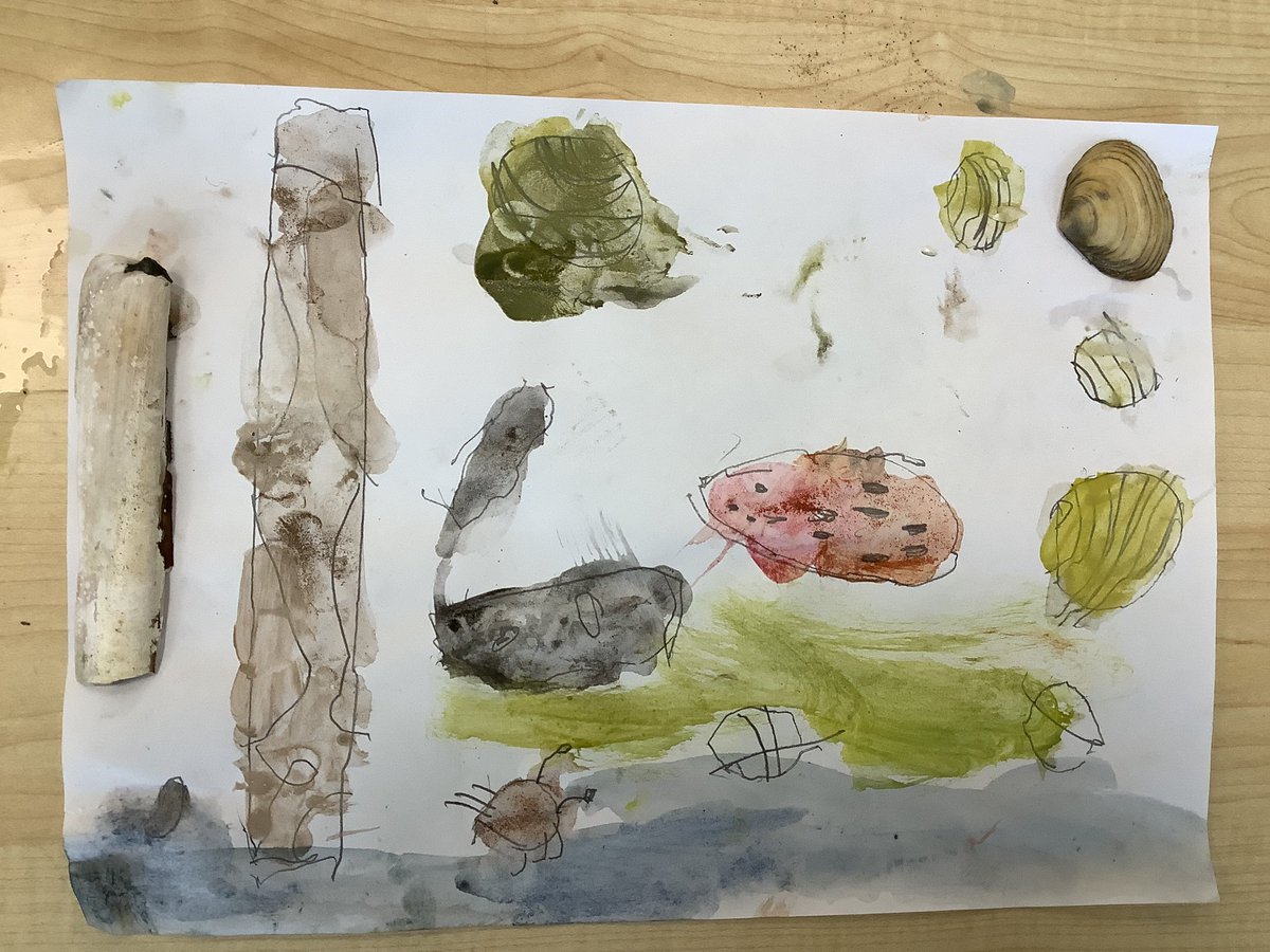 MissThomas1234's tweet photo. We used our findings from the beach yesterday to create beautiful observational drawings. We used our new watercolour skills to carefully create the different tints and shades we could see @LanghoStLeonard https://t.co/8WapPuNG2y