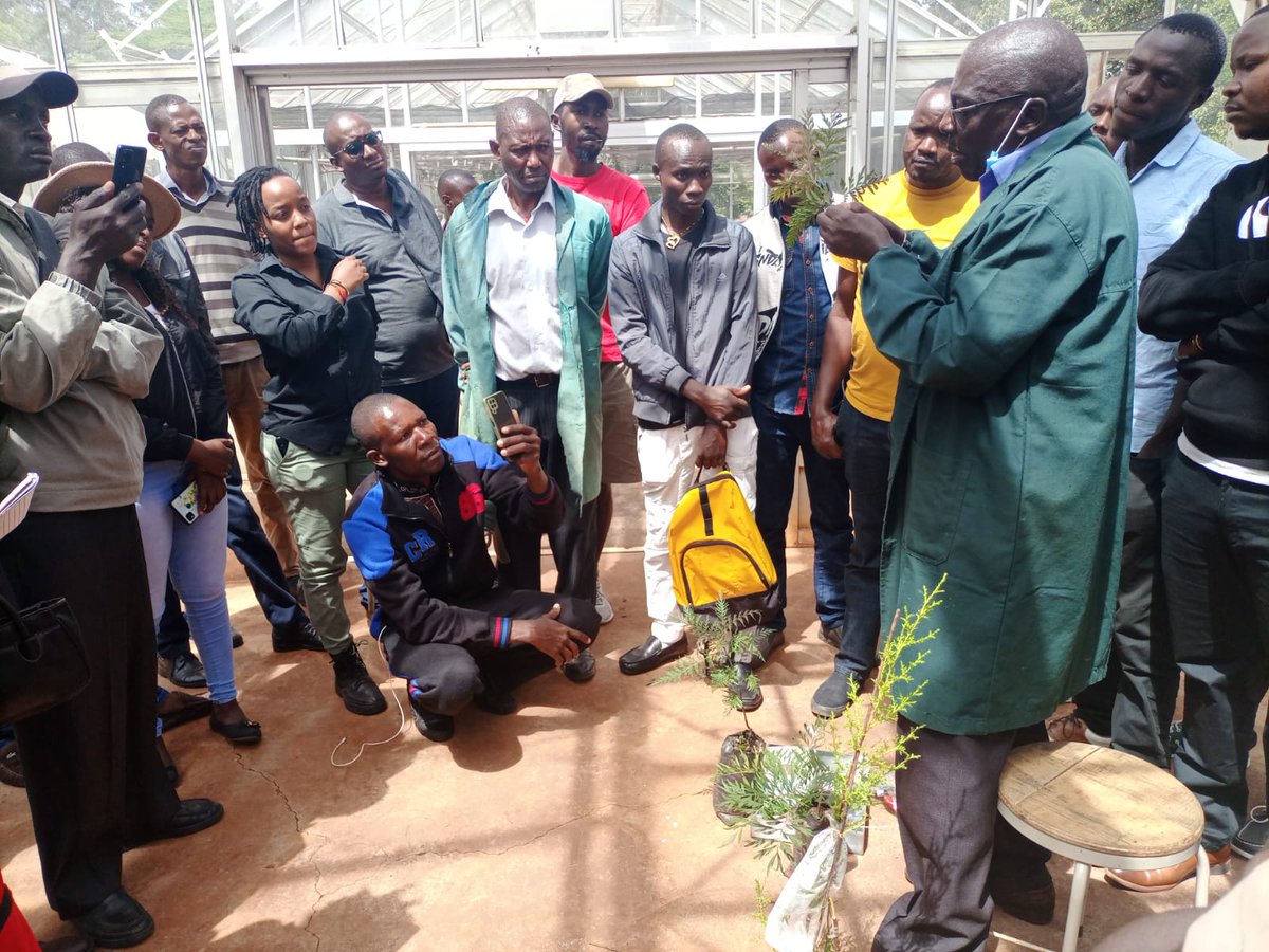 KenyaCIC's tweet photo. #Sustainable growth of private #commercialforestry activity requires competitive timber product value chains to emerge, underpinned by effective support services. Through the #GrEYAP project, 40 youth-led businesses in forestry and agroforestry were selected to receive support. https://t.co/KRfYgns1zh