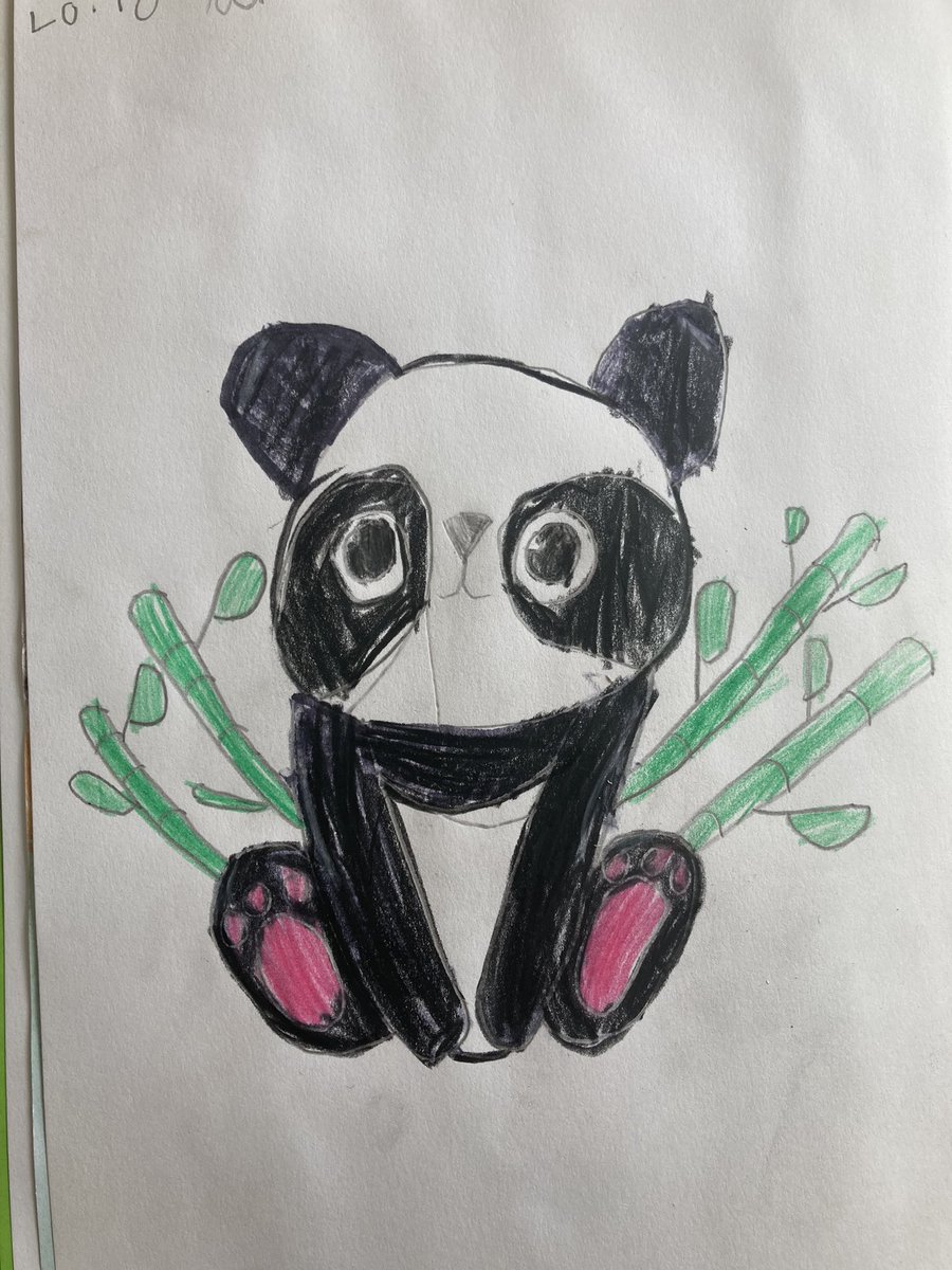 SullyPS's tweet photo. #SPSPS2 have enjoyed a live web feed and talk from a panda sanctuary in China. We loved finding out all about this amazing creature- and the babies were so cute! We even did some art afterwards, choosing what medium to use. #SPSyear2 #SPShumanities #SPSexpressivearts https://t.co/pKmf1ppZdw
