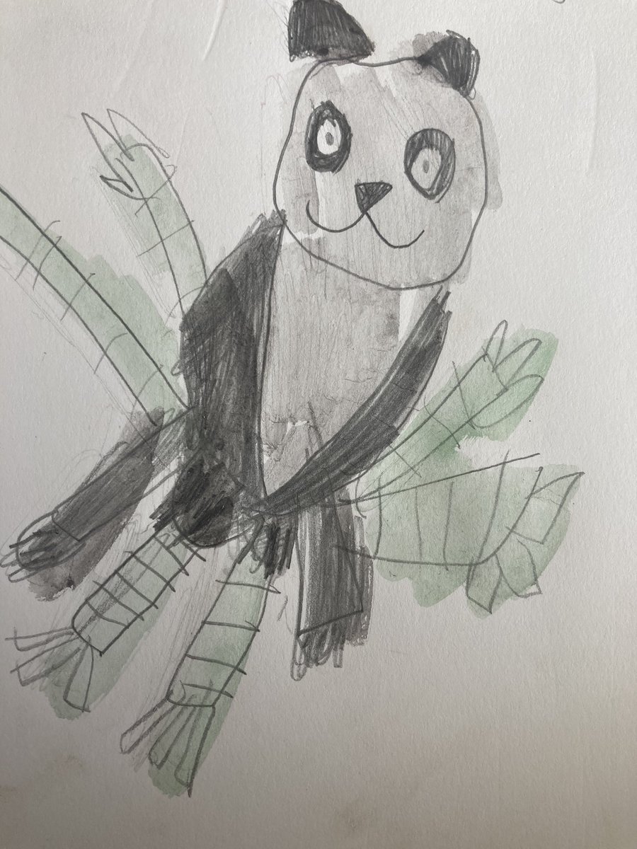 SullyPS's tweet photo. #SPSPS2 have enjoyed a live web feed and talk from a panda sanctuary in China. We loved finding out all about this amazing creature- and the babies were so cute! We even did some art afterwards, choosing what medium to use. #SPSyear2 #SPShumanities #SPSexpressivearts https://t.co/pKmf1ppZdw