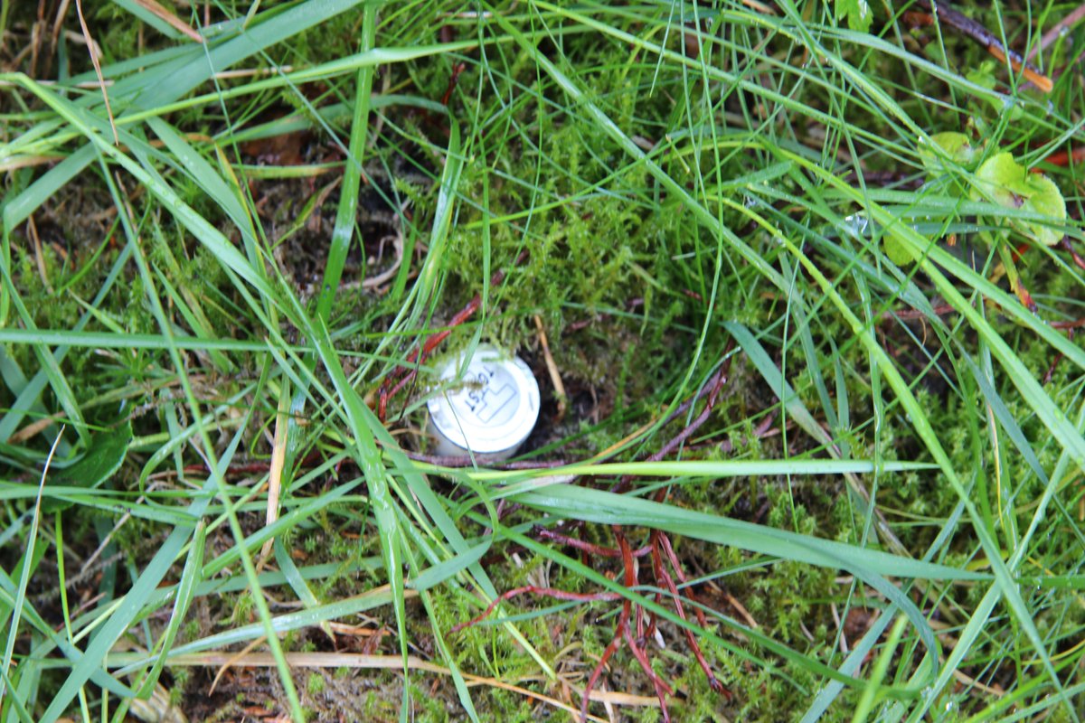 Jan (Honza) Pergl (@janpergl) on Twitter photo <a href="/AlpineBiogeo/">Jana Eichel</a> <a href="/TOMSTloggers/">TOMST</a> @UU_PhysGeog @TOMST Dwarfs are nice :-) We are using them for the <a href="/TheASICSProject/">ASICS - Cold region invasions</a> . Now we have quite nice coverage of the world mountain regions... in combination with ion exchange probes, ideal... and of course near paths, where is high risk of damage by tourists or road management <a href="/AlpineBiogeo/">Jana Eichel</a> <a href="/TOMSTloggers/">TOMST</a> @UU_PhysGeog @TOMST Dwarfs are nice :-) We are using them for the <a href="/TheASICSProject/">ASICS - Cold region invasions</a> . Now we have quite nice coverage of the world mountain regions... in combination with ion exchange probes, ideal... and of course near paths, where is high risk of damage by tourists or road management
