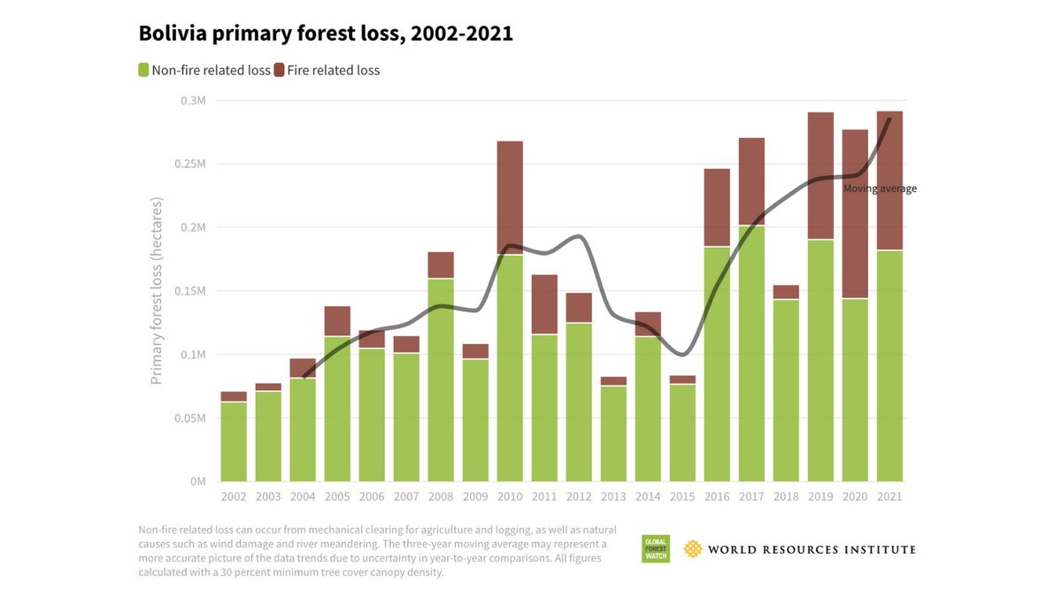 Bolivia experienced record-high primary forest loss due to fires 🔥 and large-scale agriculture in 2021. 

Discover more on Bolivia’s forests on @WorldResources Global Forest Review ➡️ ow.ly/8GCX50IWFW1

#GlobalForestReview #TreeCoverLoss  @globalforests