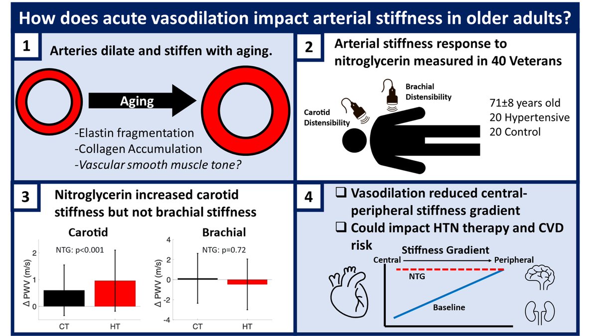 RPewowaruk's tweet photo. New paper in @Hypertens_Res! Vasodilation from NTG makes the central arteries of older Veterans stiffer. 

This was an unexpected finding, but is likely important for personalizing #Hypertension care!

 https://t.co/oWulLEXGKa 

#ArterialStiffness @AdamGepner @uw_cvm @UWCVRC https://t.co/ozDXg4WIqr