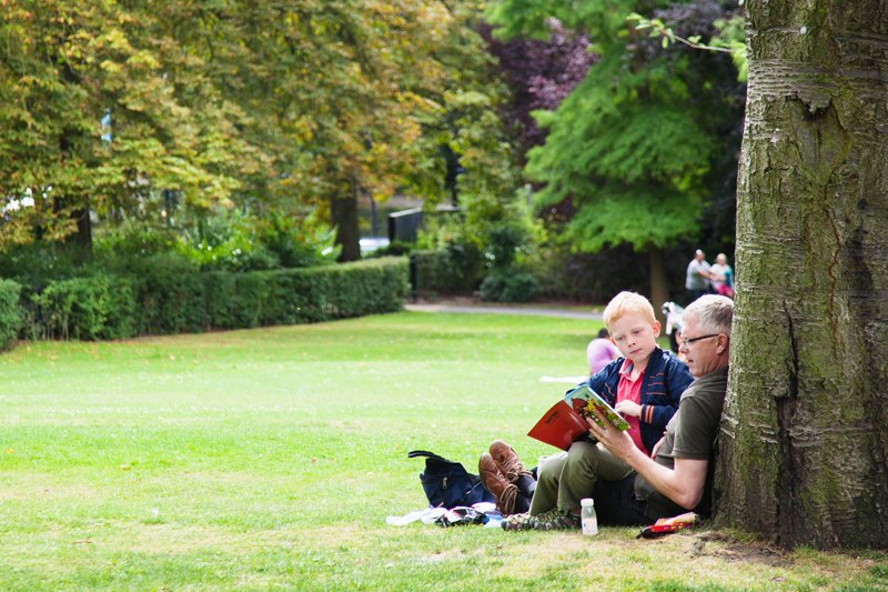 A man and child sit under a tree reading a book at the Horniman