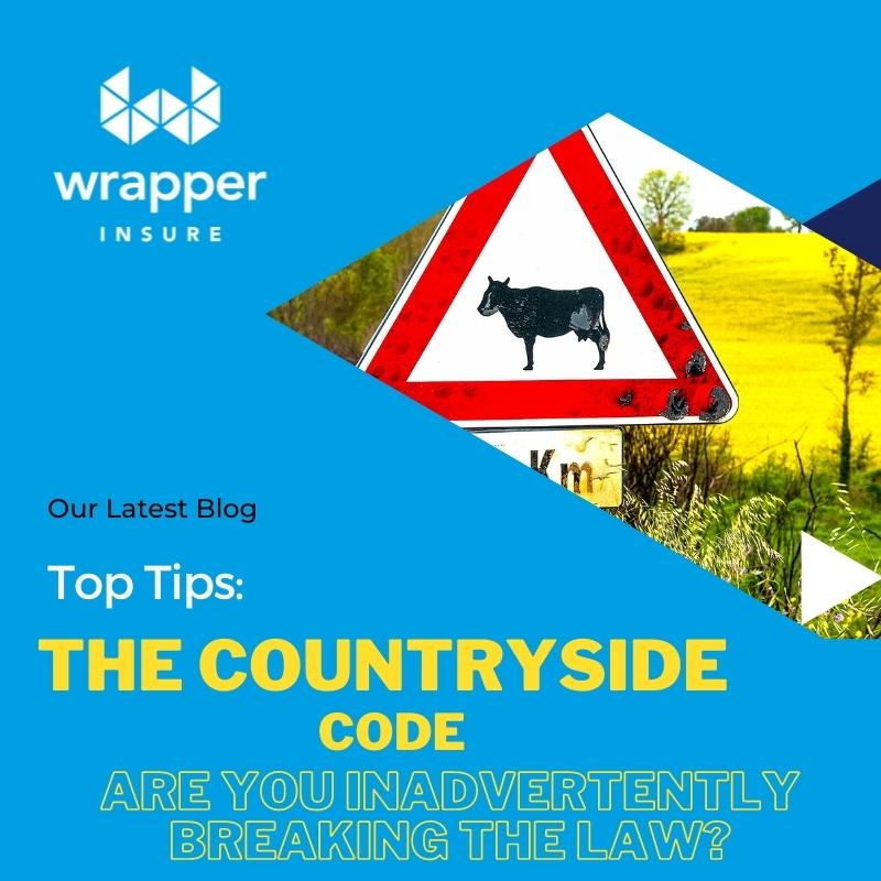 WrapperInsure tweet media