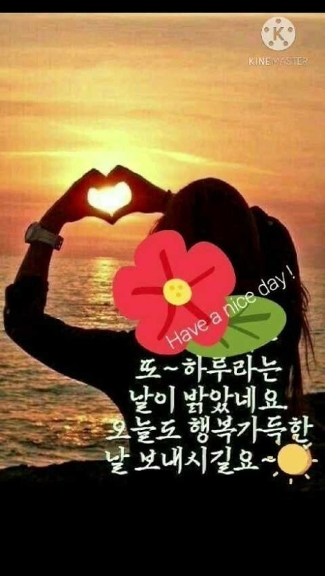 v.daum.net/v/202207151911…