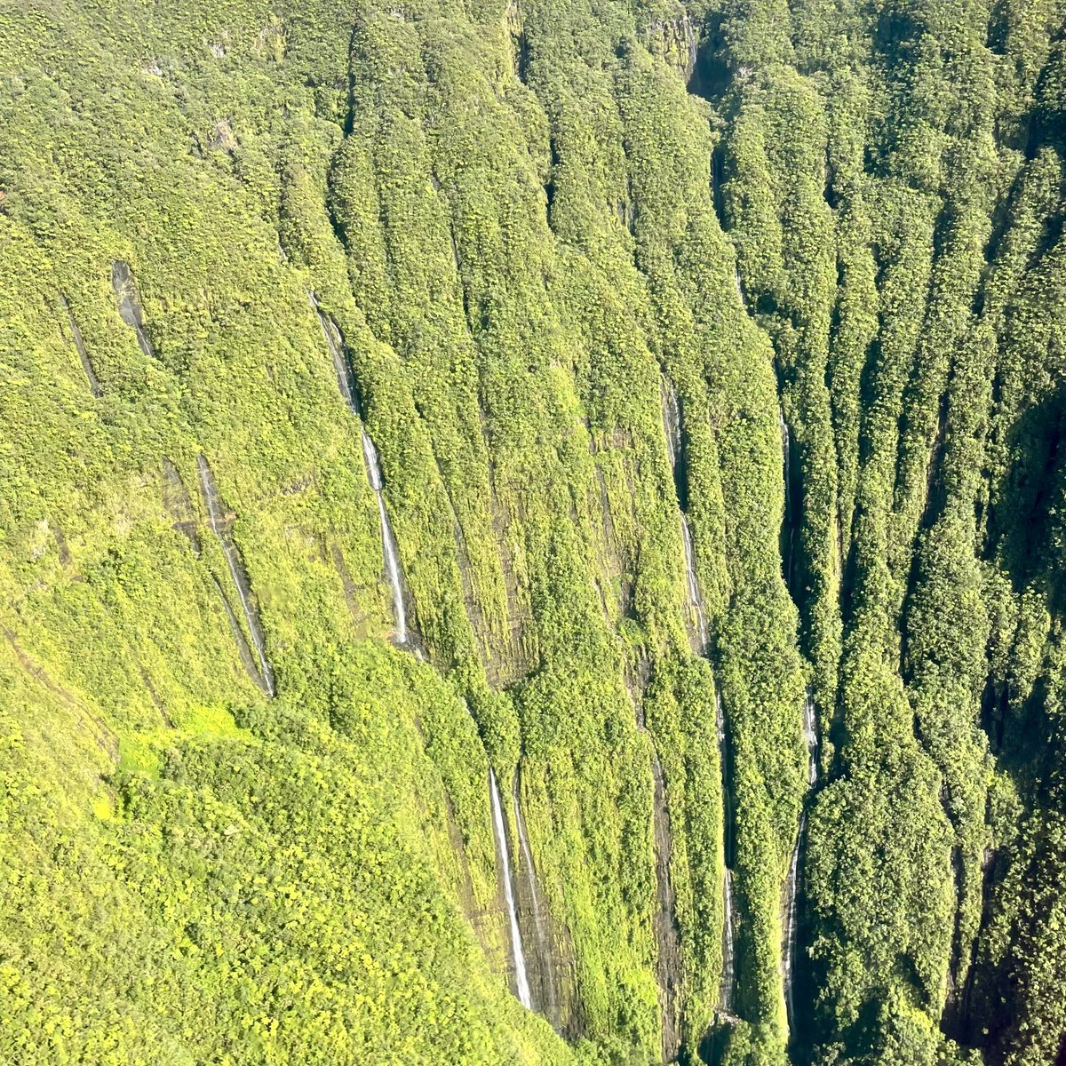 COLIPAYS tweet media