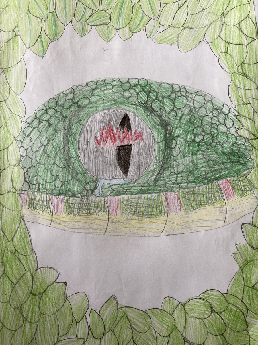 bl4treganna's tweet photo. Celf anhygoel i godi ymwybyddiaeth o ddatgoedwigo yn yr Amazon.
Incredible art to raise awareness of deforestation in the Amazon.
🌴⛔️🌴 https://t.co/YzWCGx5a4L
