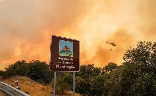 DiegoRBCA's tweet photo. Arde el Parque Nacional de Monfragüe (Cáceres) y es necesario recordar las barbaridades que hizo Iberdrola el pasado año en la zona.

De aquellos barros estos lodos. Se están cargando los hábitats. https://t.co/Y0LGkDTcvn