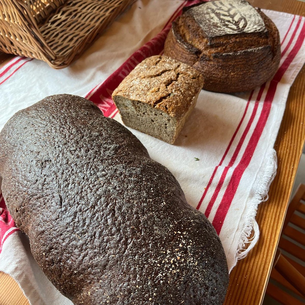 Rye is a powerful grain with immense untapped potential. Last week I had the joy of joining the <a href="/Savannainst/">Savanna Institute</a> and Rye Revival in a robust conversation about the importance of rye. I even got to taste some of this beautiful bread!