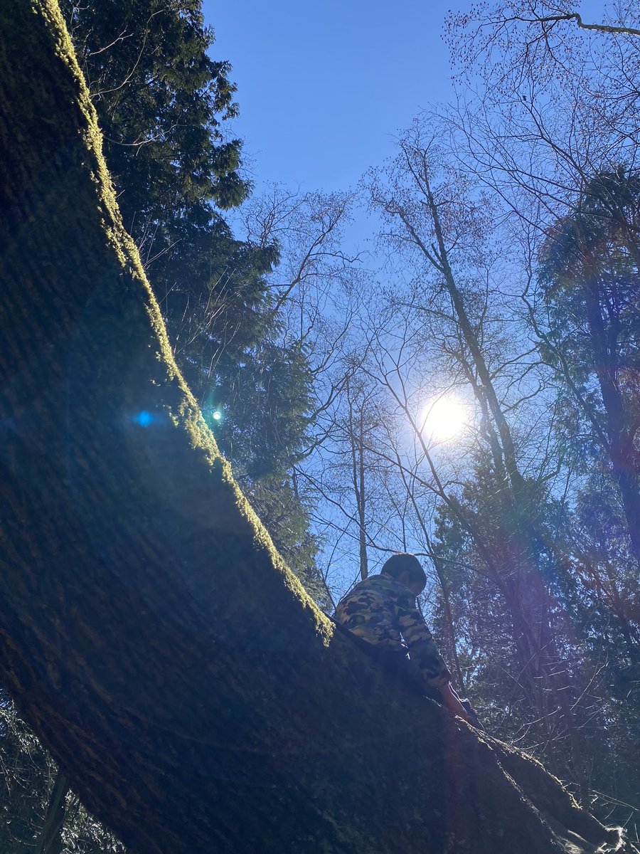 Ellen Petersson tweet media