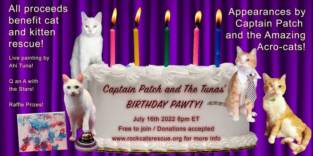 Join us! More info at rockcatsrescue.org.

#acrocats #CatsOfTwitter