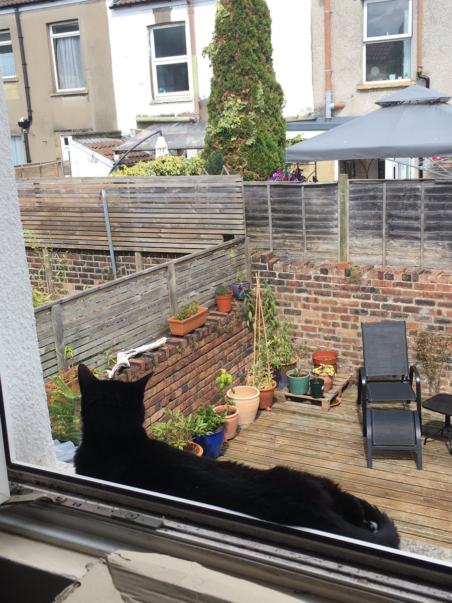 Life on the ledge…