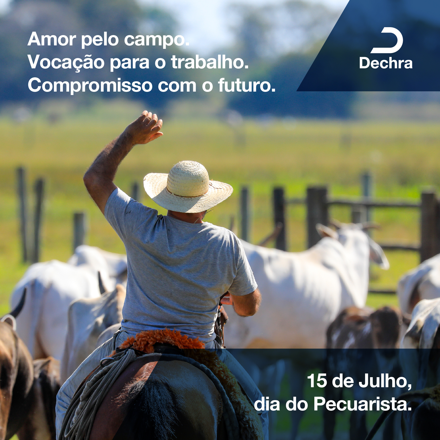 Dechra Brasil on Twitter: Dechra Brasil on Twitter: