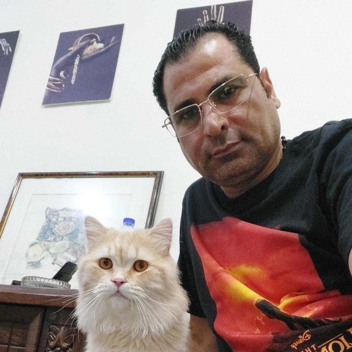 samehellethyi's tweet image. 