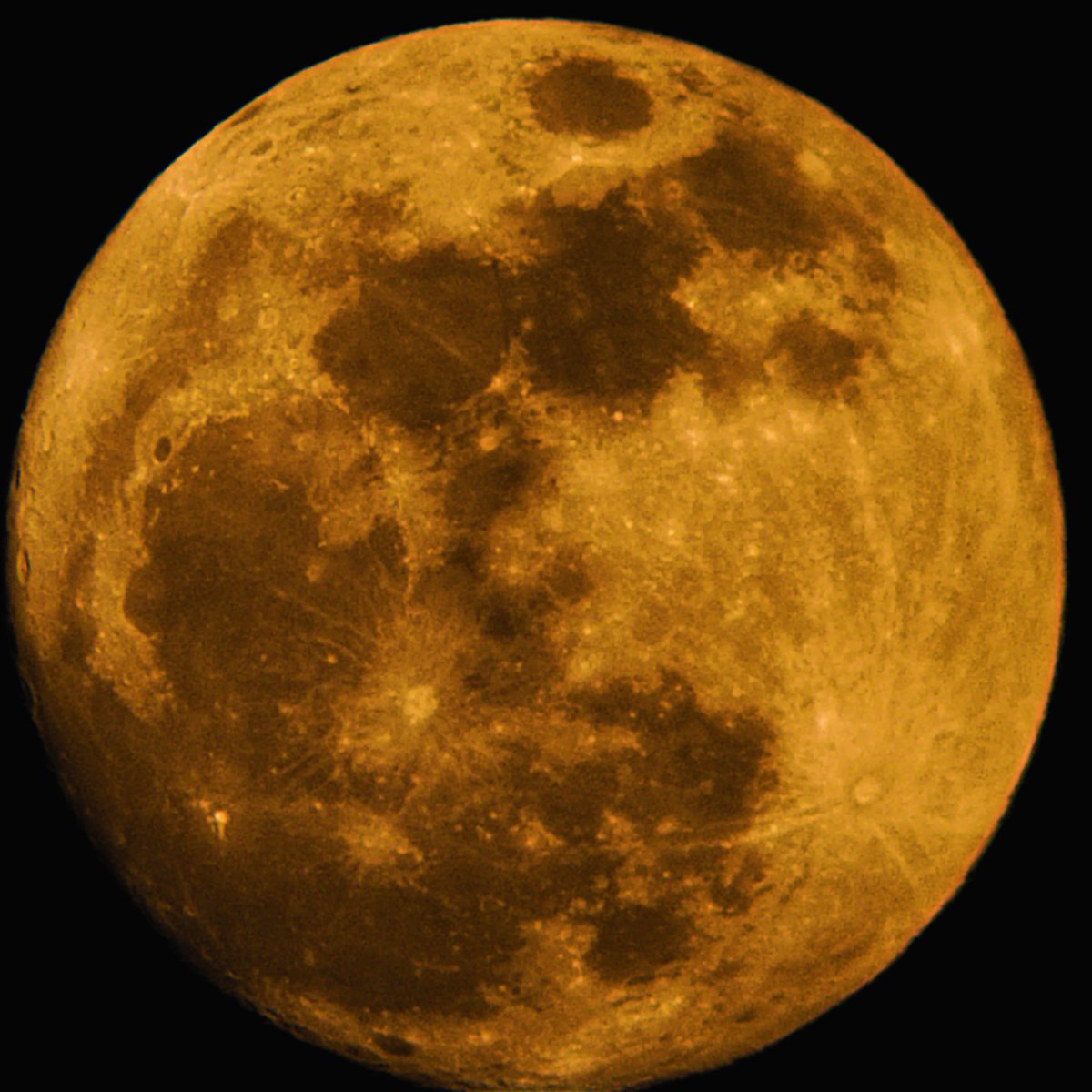 Ant Smith (@antsmithpoet) on Twitter photo this is nearly 4000px in diameter - not quite as sharp as I think my kit can achieve, will try again at the next supermoon - end of 2023 I think!!! #mysupermoon <a href="/RMGreenwich/">Royal Museums Greenwich</a> this is nearly 4000px in diameter - not quite as sharp as I think my kit can achieve, will try again at the next supermoon - end of 2023 I think!!! #mysupermoon <a href="/RMGreenwich/">Royal Museums Greenwich</a>