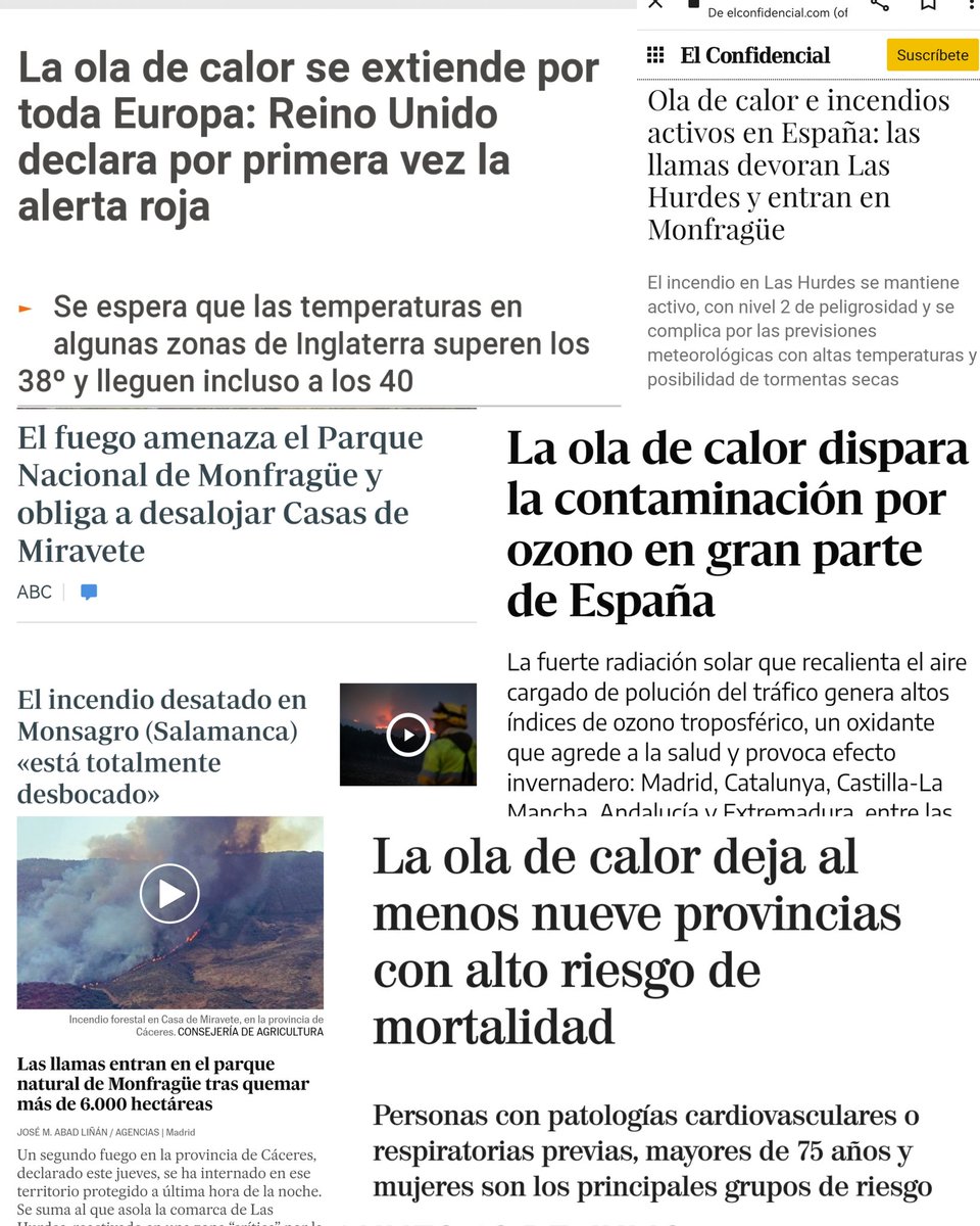 "La gente no entiende la magnitud de lo que está pasando (..) Esto será más grande que cualquier cosa que hayamos visto en el pasado. Esto no tendrá precedentes. Todo ser vivo se verá afectado” Katharine Hayhoe