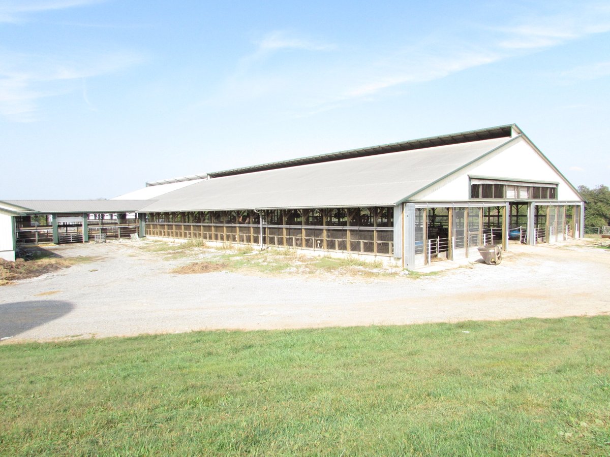 WeCover_Steel's tweet photo. Stunning look at a 112โx 96โ fabric roof #dairy barn located in Richland, PA. #WeCover structures are a difference-maker in agriculture. With a fabric roof providing natural light and ventilation, this environment is pleasant for your workers and your herd! https://t.co/agJaglw11s