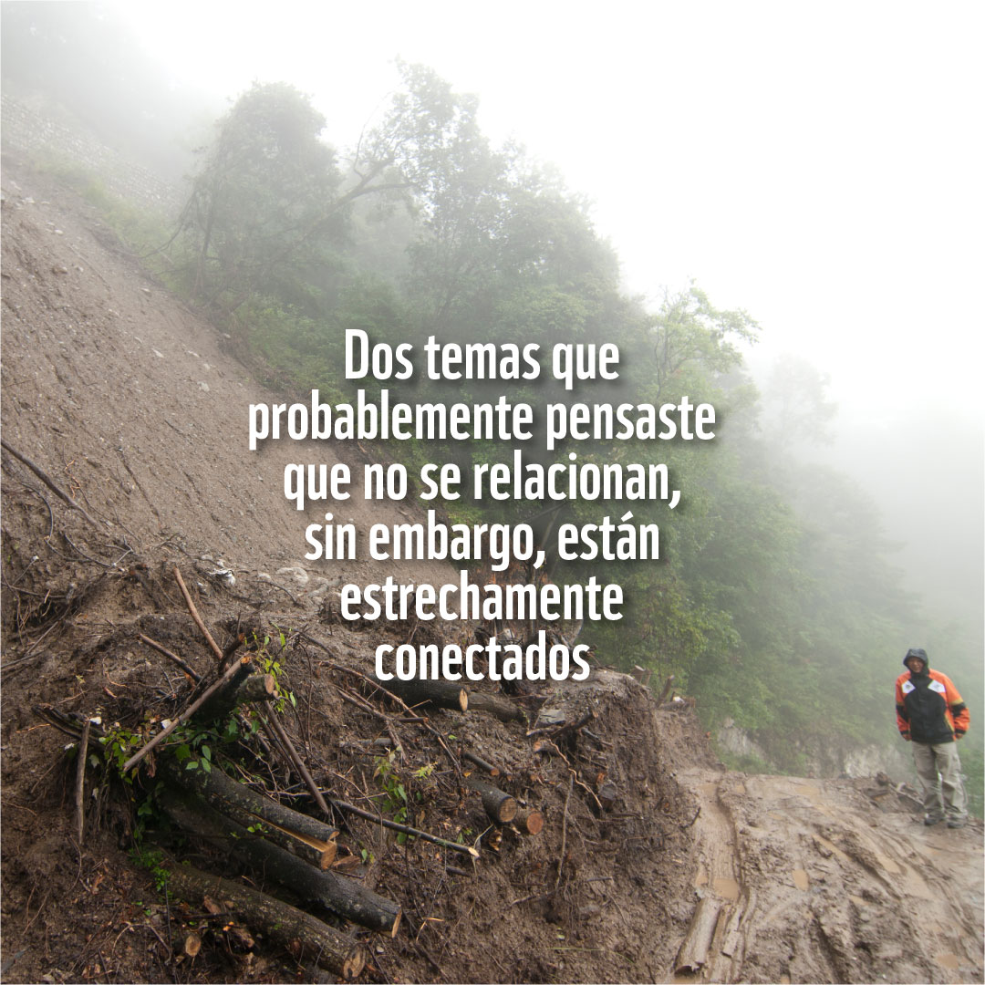 WWFEcuador's tweet photo. 1/2 Deslaves, deslizamientos, deforestación. ¿Encuentras alguna relación entre estos fenómenos?
Prevenir riesgos está ligado también a la conservación de la naturaleza, porque cuando esta se encuentra saludable, puede ser una gran aliada de nuestro bienestar. https://t.co/03YijafPg5