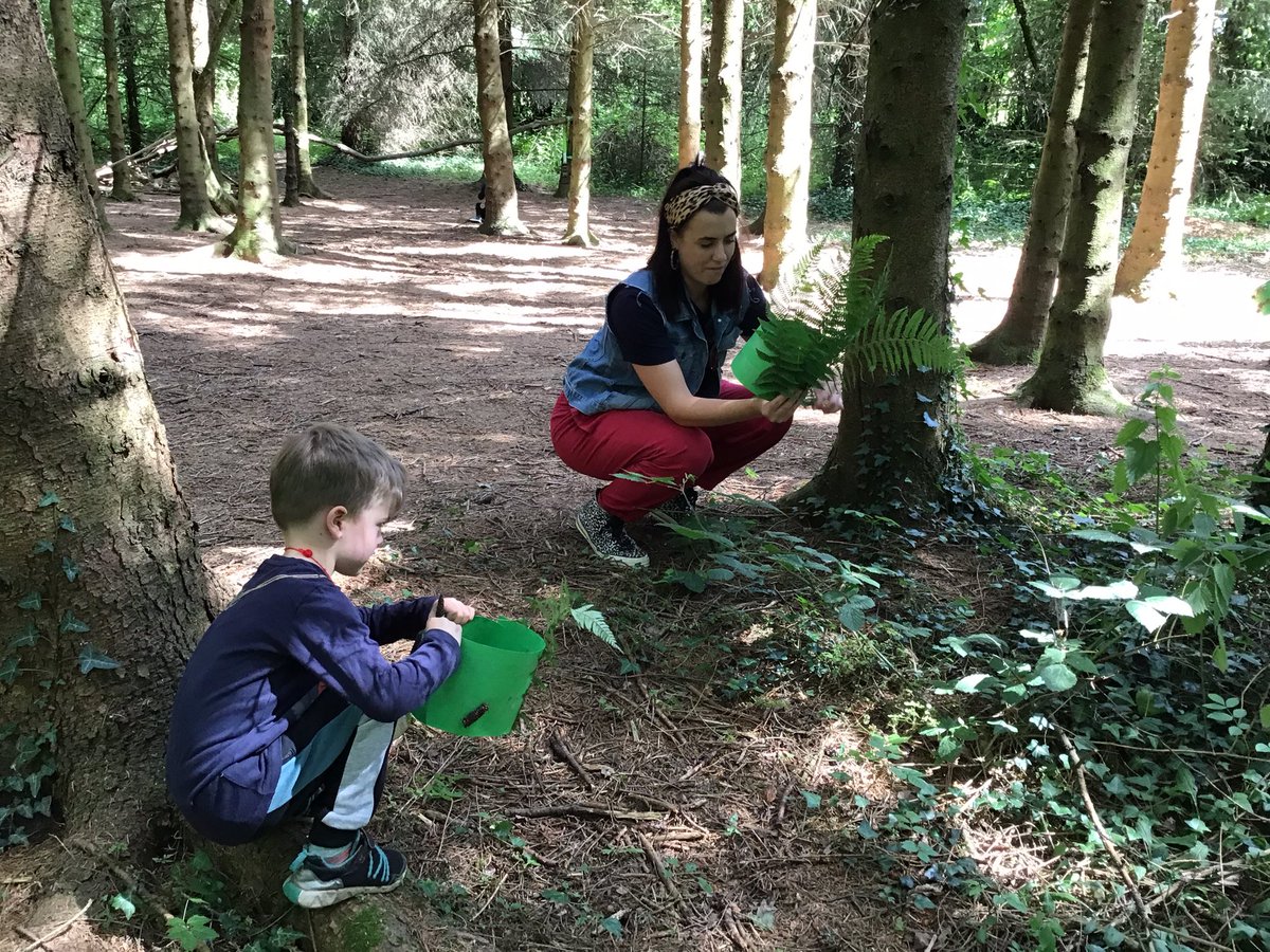 StanFoxClass's tweet photo. Family fun at Forest School today 😊 https://t.co/CRzO8ZsCZ1
