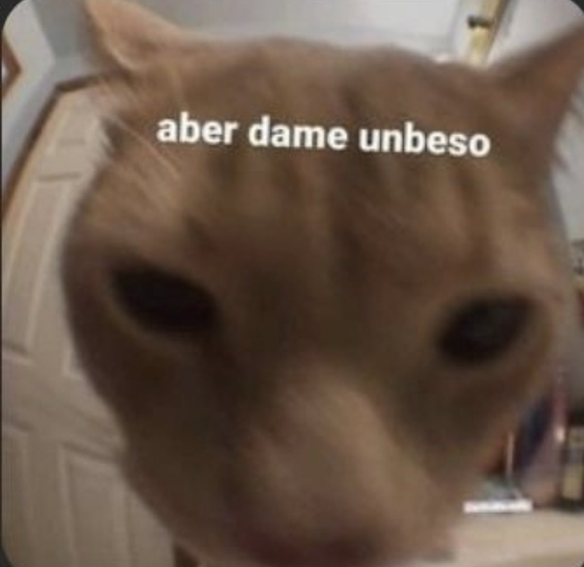aXoZerr's tweet photo. https://t.co/sAqCgxHsQC