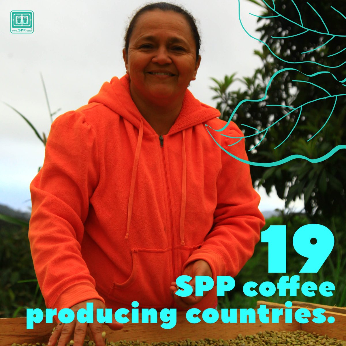 We have a broad network of coffee producers who produce sustainably; we guarantee fair payment to each producer, which contributes to improving overall working conditions, training opportunities and health outcomes 💚.