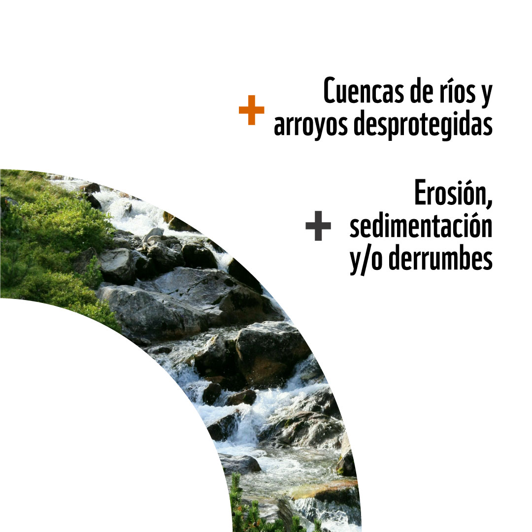 WWFEcuador's tweet photo. 1/2 Deslaves, deslizamientos, deforestación. ¿Encuentras alguna relación entre estos fenómenos?
Prevenir riesgos está ligado también a la conservación de la naturaleza, porque cuando esta se encuentra saludable, puede ser una gran aliada de nuestro bienestar. https://t.co/03YijafPg5