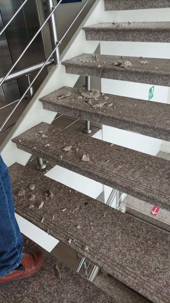 abgfabianyanez's tweet photo. Esta es la realidad de nuestro sistema de justicia. La incapacidad  e indolencia del Consejo de la judicatura es evidente. El 80% de los ciudadanos, queremos que desaparezca.  Vean las imágenes del deterioro. @CarlosVerareal @LassoGuillermo https://t.co/dICxKIwYcX