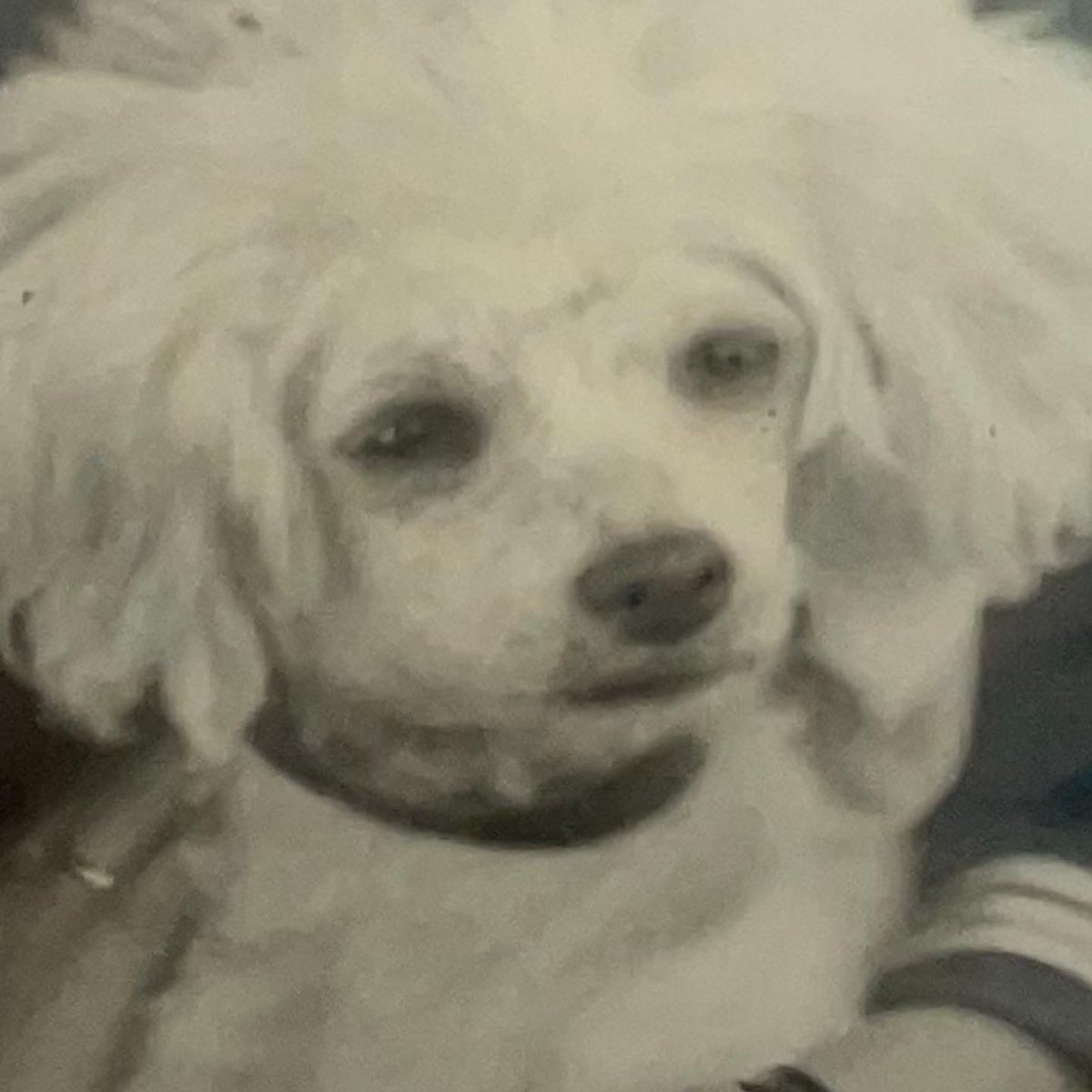 YDKWYDK (@karate_cowboy) on Twitter photo 