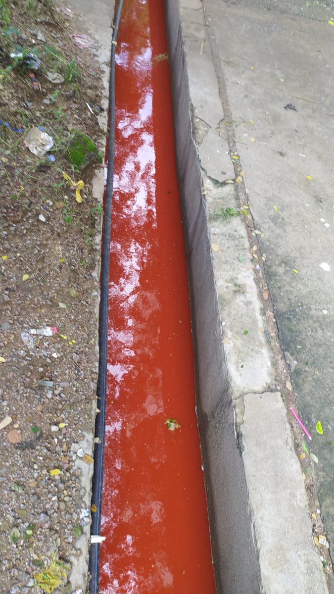 sgc_rguktb's tweet photo. The exact reason for food poison is still unknown. Visuals near drainage at messes makes it to assume that all the chilli powder is dumped. Ingredients used could be potential reason.

____ 4

#MassFoodpoison #rguktbasar https://t.co/zTEtxnuv79