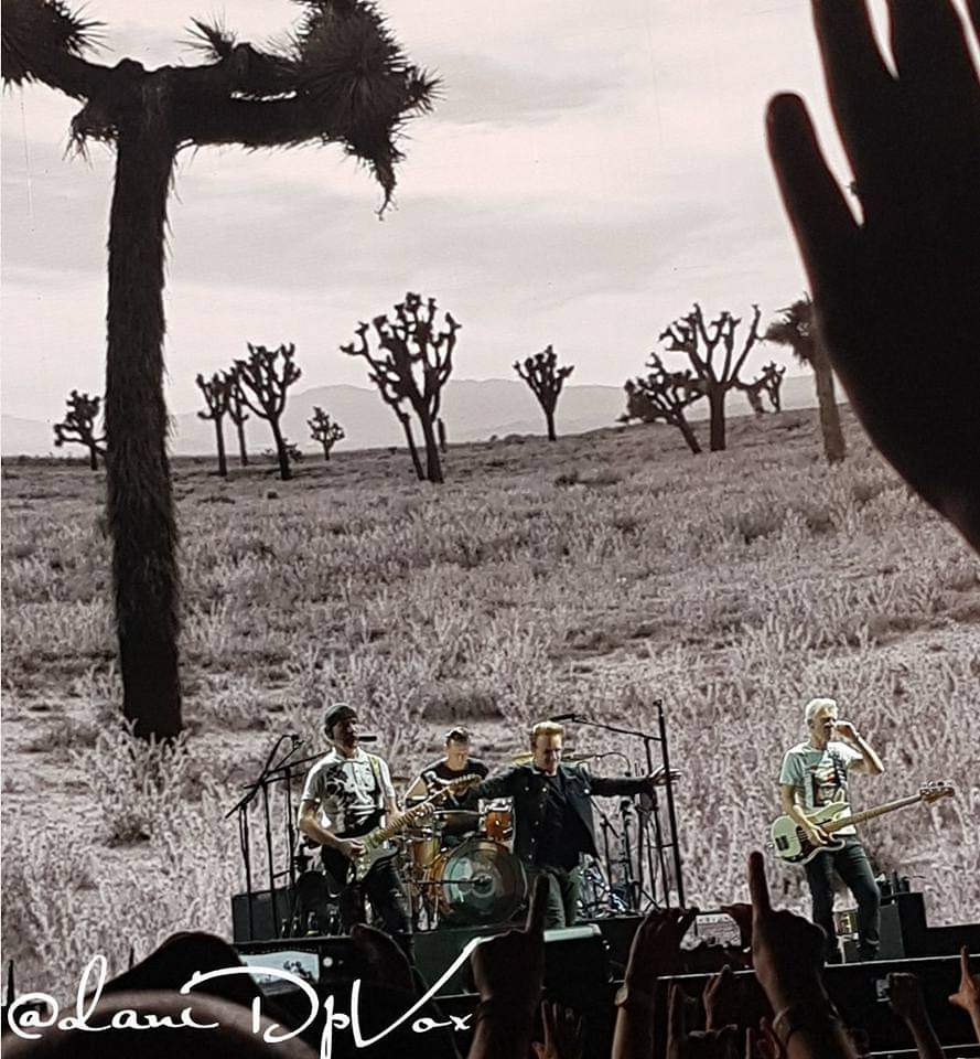 daniDpVox's tweet photo. #OnThisDay July 15th, 2017...5 years ago, #U2 performed with their 
#U2TheJoshuaTreeTour2017 in the 1st night (of two) in the #StadioOlimpico in #Rome💛❤️☘️

#U2TheJoshuaTree #U2NewsIT #U2History #Bono #TheEdge #AdamClayton #LarryMullenJr #Roma #U2TheJoshuaTree2017 @U2 https://t.co/vzA19caoVv