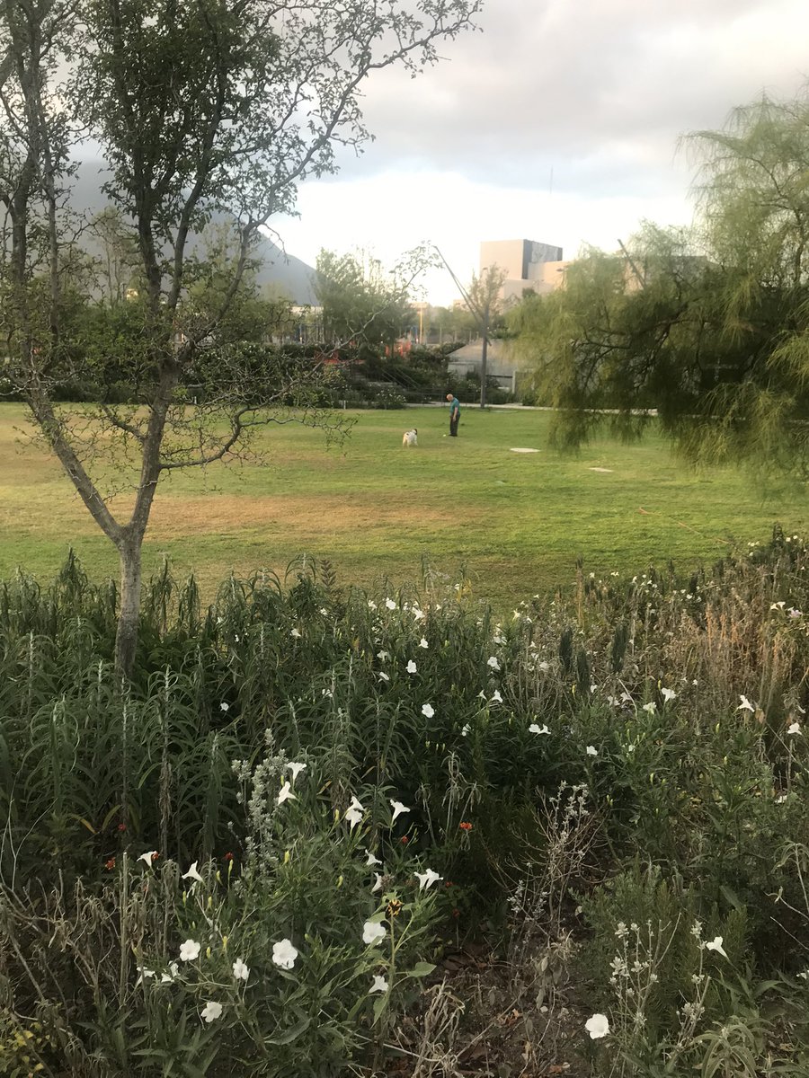 Victor M. Gutiérrez Sánchez tweet media