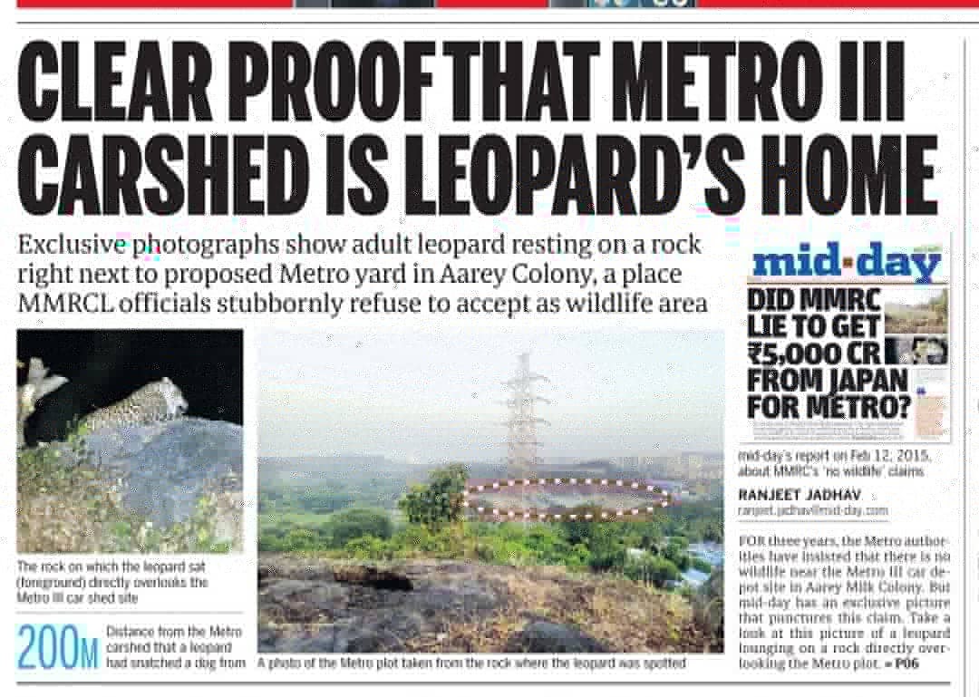 There are 34 species of wildflowers, 86 species of butterflies, 13 species of amphibians, 46 species of reptiles, many listed under Schedule 1 of Wildlife Protection Act & 16 species of mammals in #AareyForest 
#SaveAareyForest
#DontKillMumbai