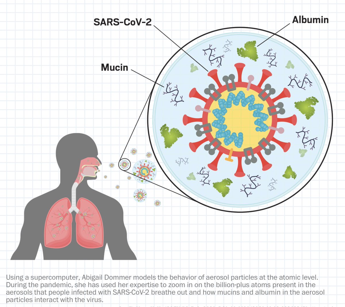 Huge congrats to @abbydommer for being named to @CEN #Talented12 for her heroic billion-atom simulations of #SARSCoV2 in a respiratory aerosol!!!!

WOW!! 👏🤩🤓🍾💪

#COVIDisAirborne #compchem 

cen.acs.org/physical-chemi… 

We are all so proud of you, Abby!!! @kprather88