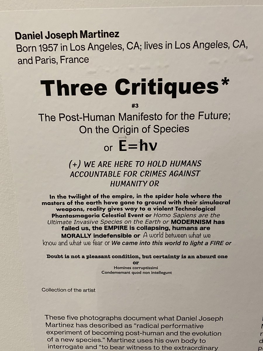 🇺🇦 David Griner 🇺🇦 tweet media