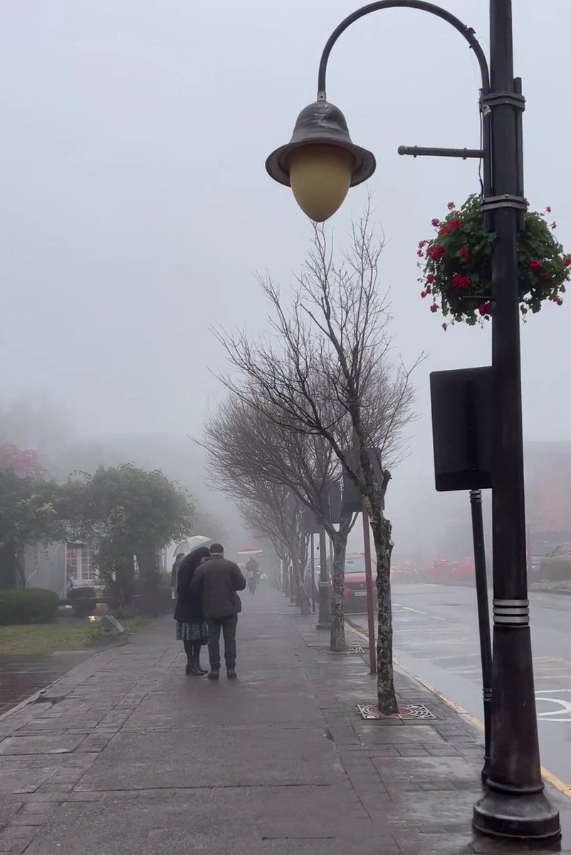 AlineEdney's tweet photo. Será que está frio? 😜 https://t.co/O75davGmpf