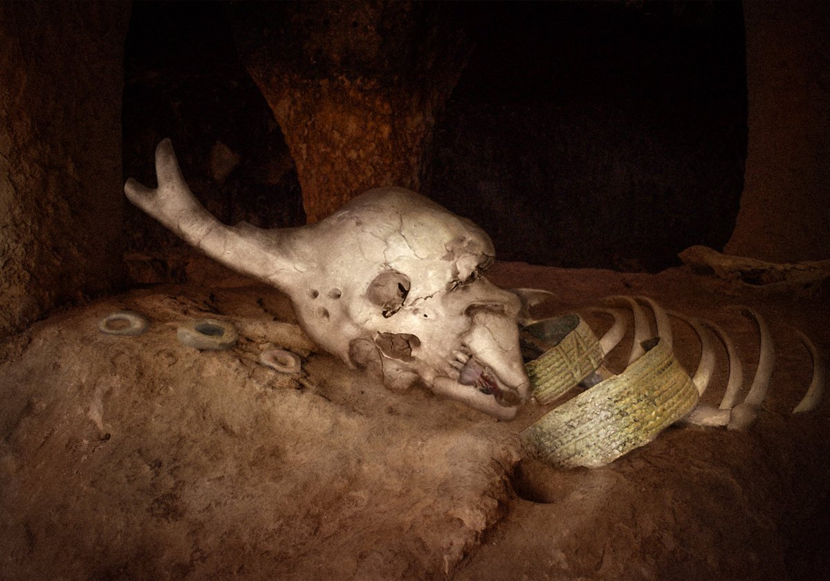 Valdevia_Art's tweet photo. Dead things. https://t.co/F4GetcKgxc