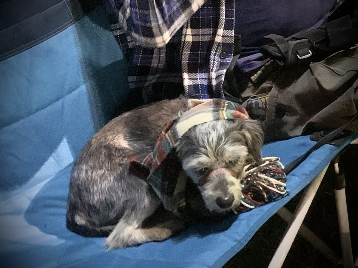 's tweet image. It’s a cold ball game night.